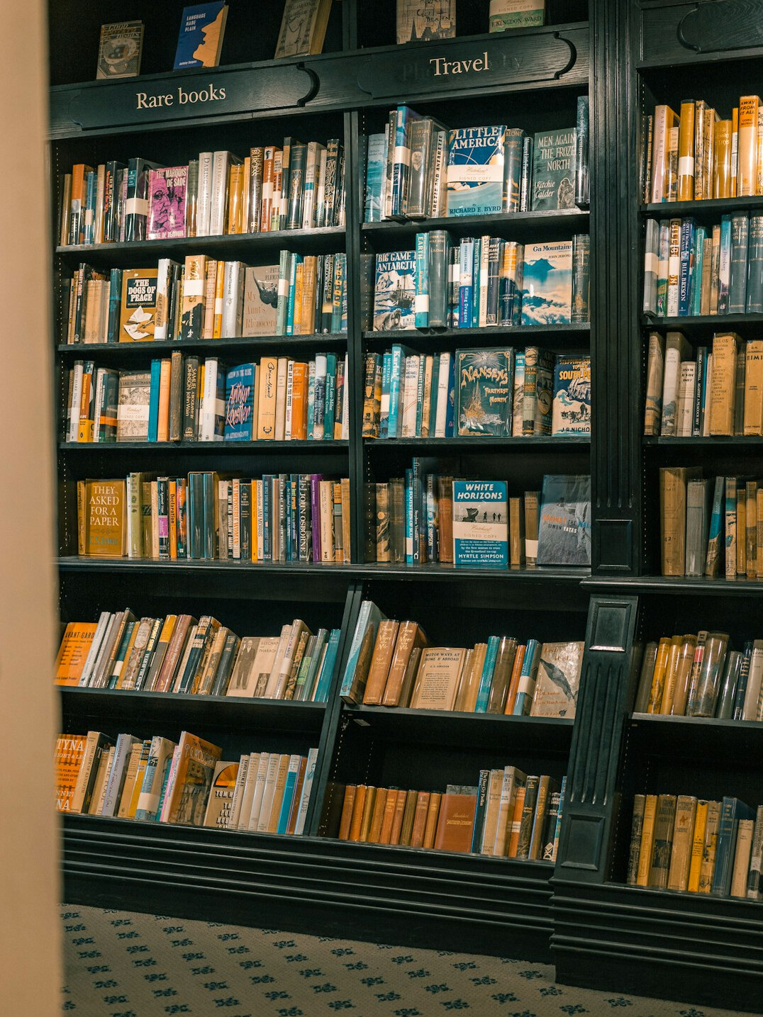 book club discussion